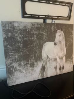 Wall Art White Horse 30x40