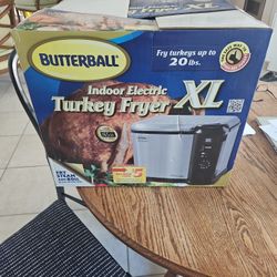Indoor Electric Turkey Fryer 