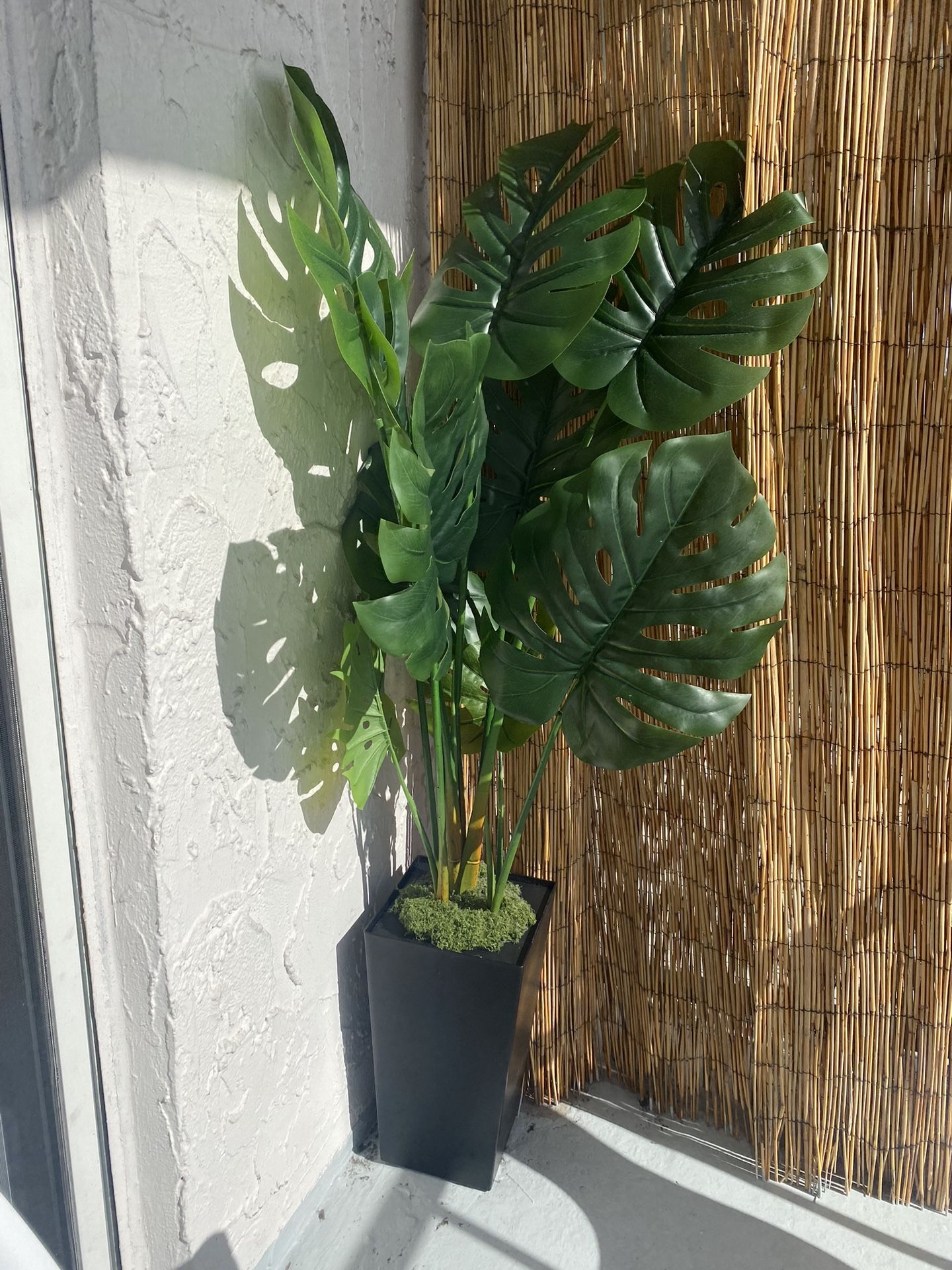 Fake Plant