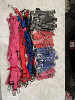 New 80 PCs Dog Safe Belt Bundle 