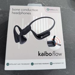 Used Once Kaibo Flow Headset