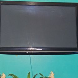 Panasonic Viera Flat Screen TV
