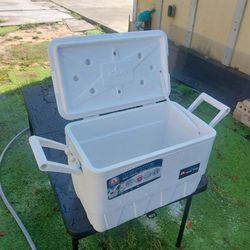 IGLOO   COOLER