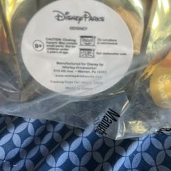 Disney Park Popcorn Bucket Metallic Color