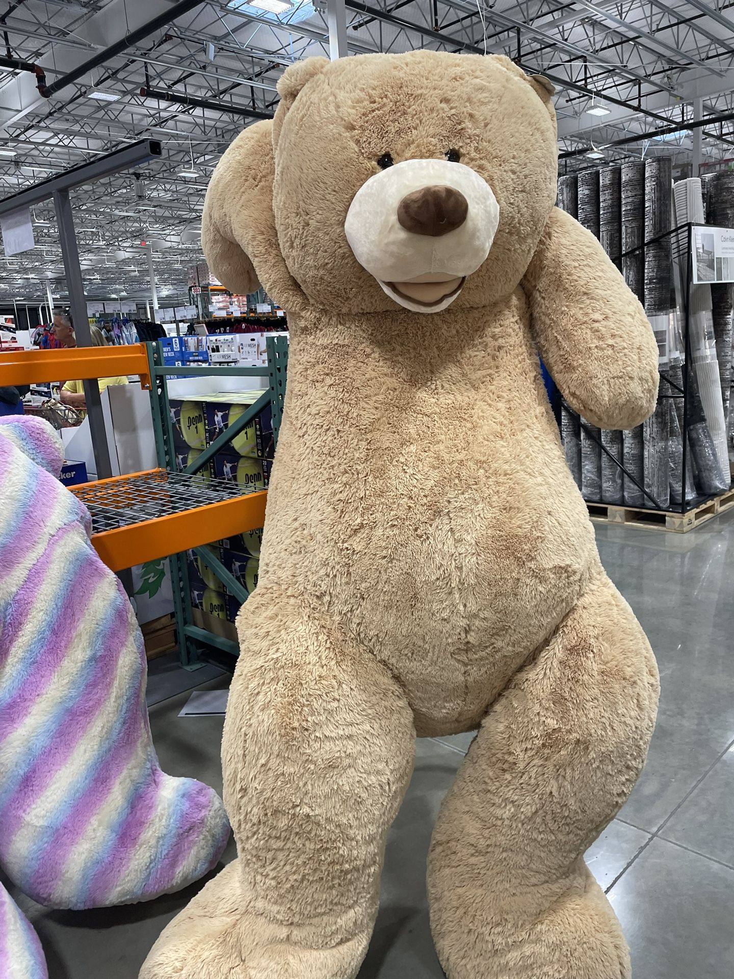 7ft Bear Perfect For Valentines Day