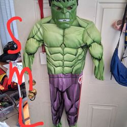 Hulk Costume  4T 