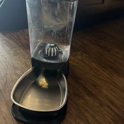 Dog Water Bowl 