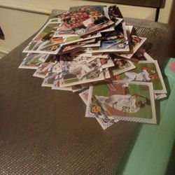 Baseball Rookie Cards (Nate Pearson)