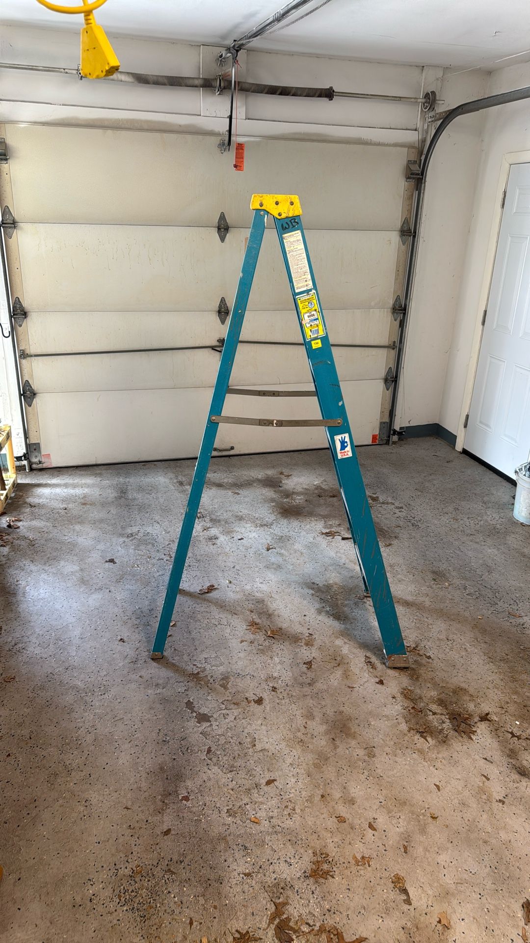 6ft Werner Electro-Master Ladder
