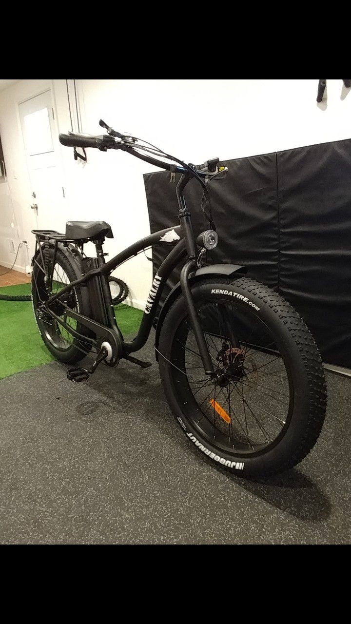 Heavy Duty Fat Tire Electric Bicycle (ebike)