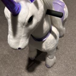 Unicorn Ride
