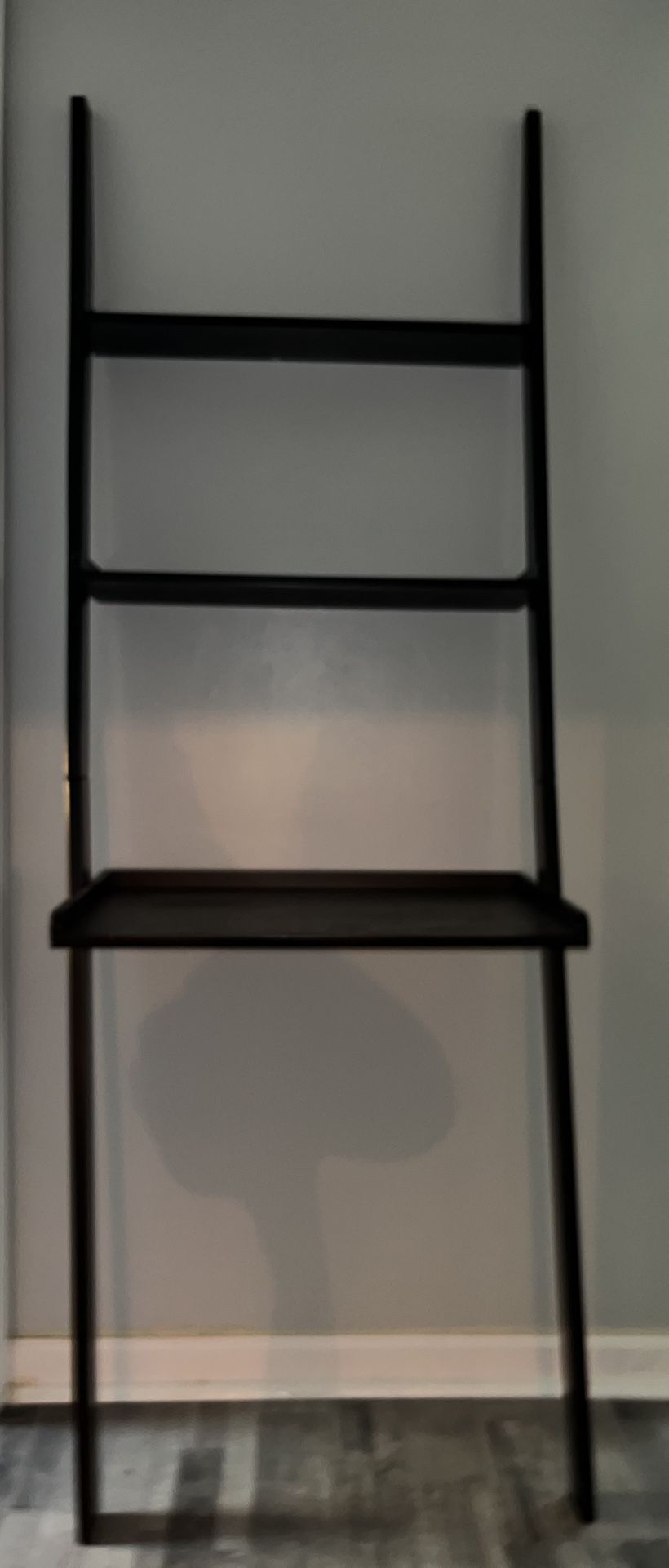 Ladder Book Shelf