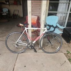 Motobecane White Bicycle