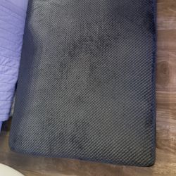 Dog Mattress (clean)