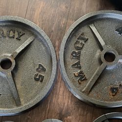 45 lb Olympic Weight Plates