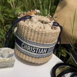 Christian Dior mini Straw pouch (shoulder bag) VIP limited Novelty New with box