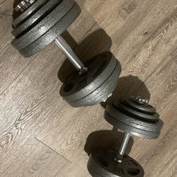 Beautiful Strong CAP Dumbbells [ 120 #] Of Pure Potential