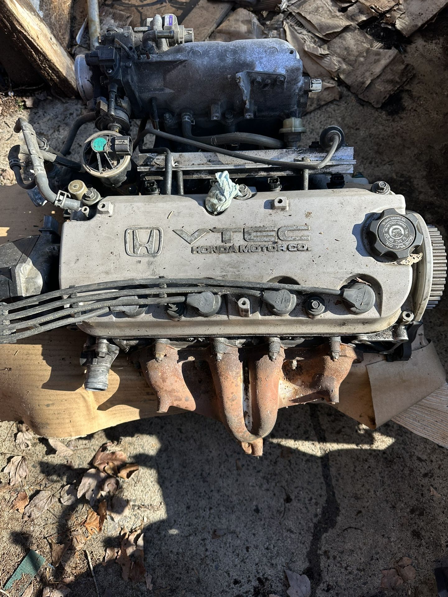 Cylinder Head