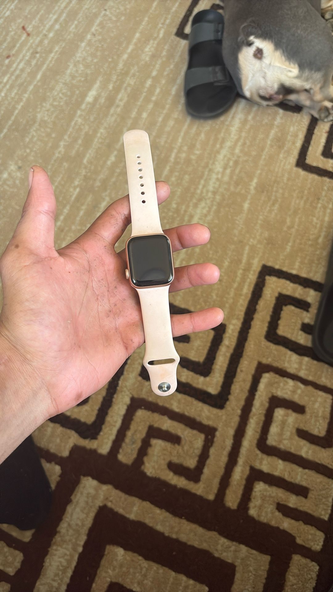 Apple Watch