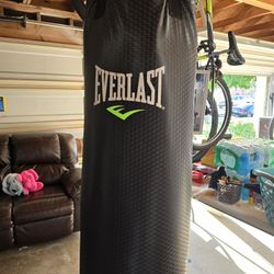 Everlast Punching Bag
