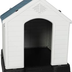 Dog House 