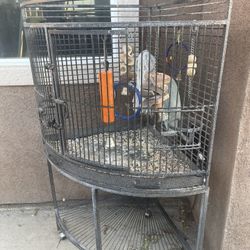 Córner Cage Birds 