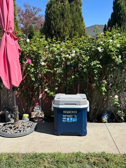 IGLOO,ICE CHEST