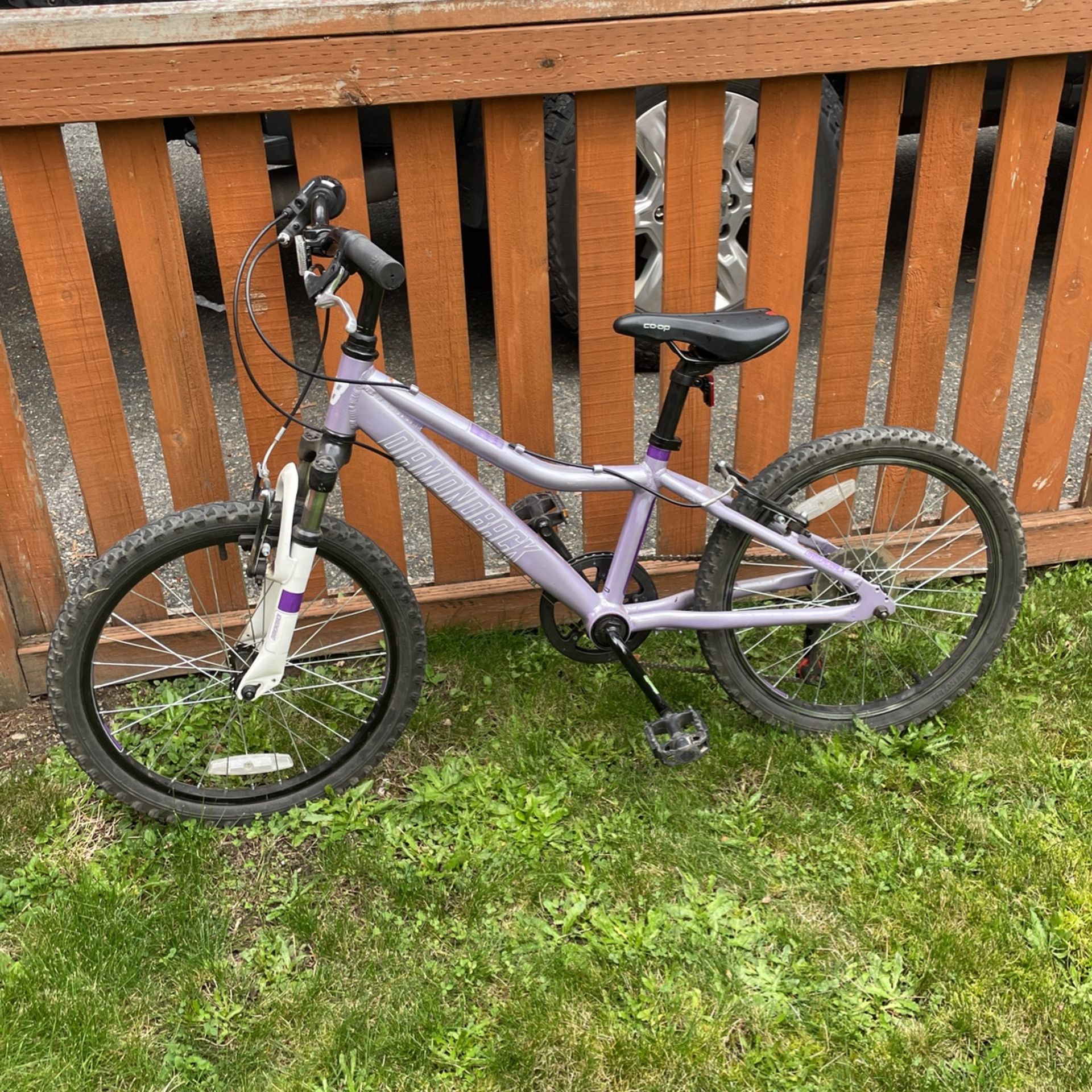 Diamondback Lustre 20 Kids Bike