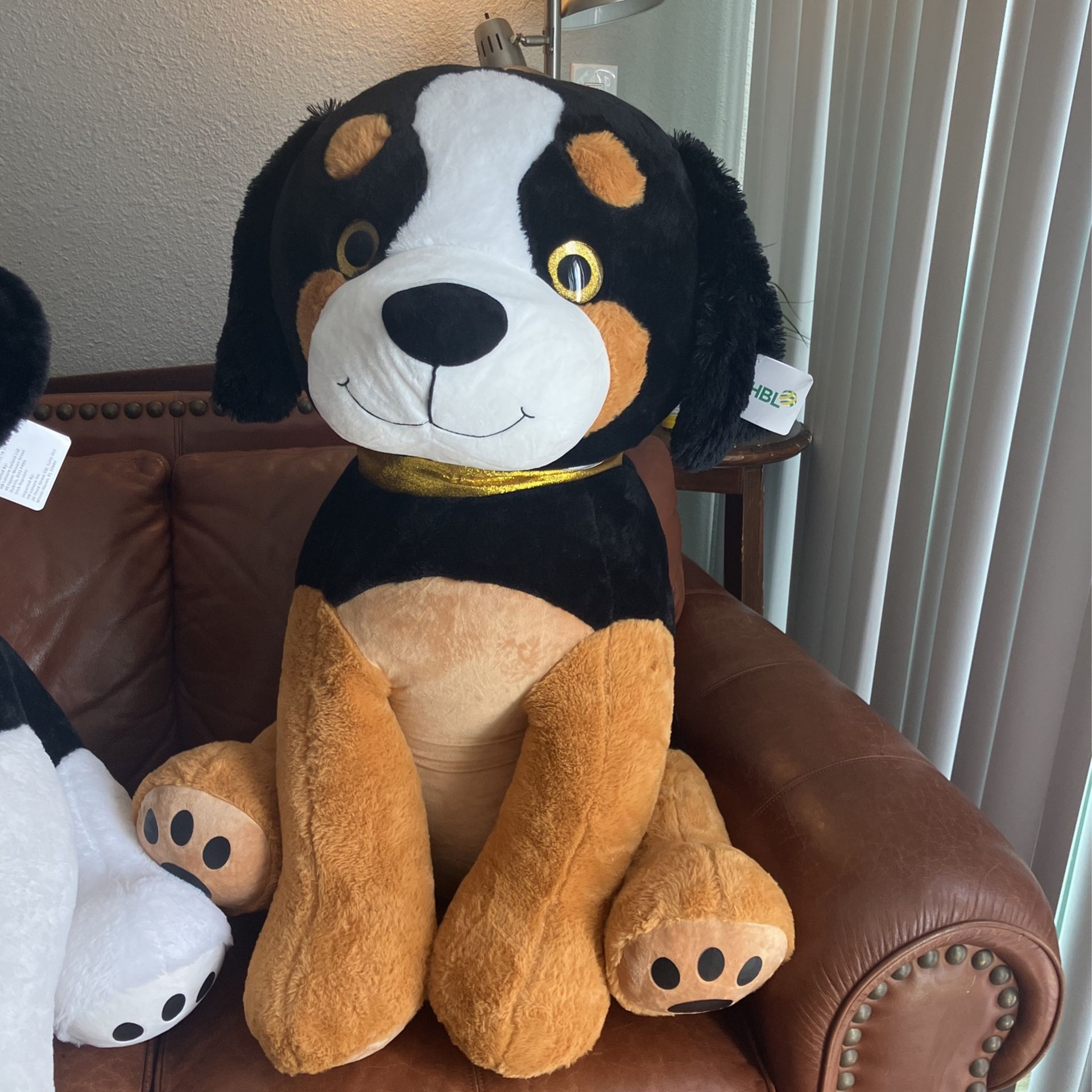 Cute Dogs For Sale .Brand New.