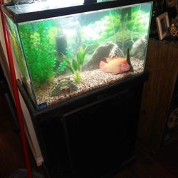 Visio Fish Tank Stand Included  W24”xH16”xD11”