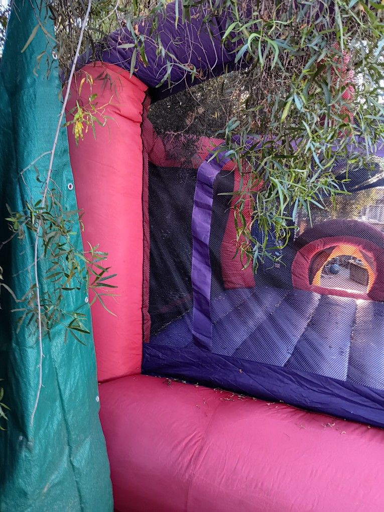 Bouncy Houxe