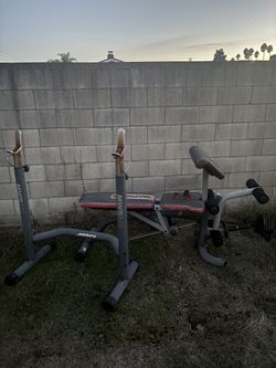 Bench Press With Bar And Weights