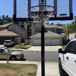 Basketball Hoop 