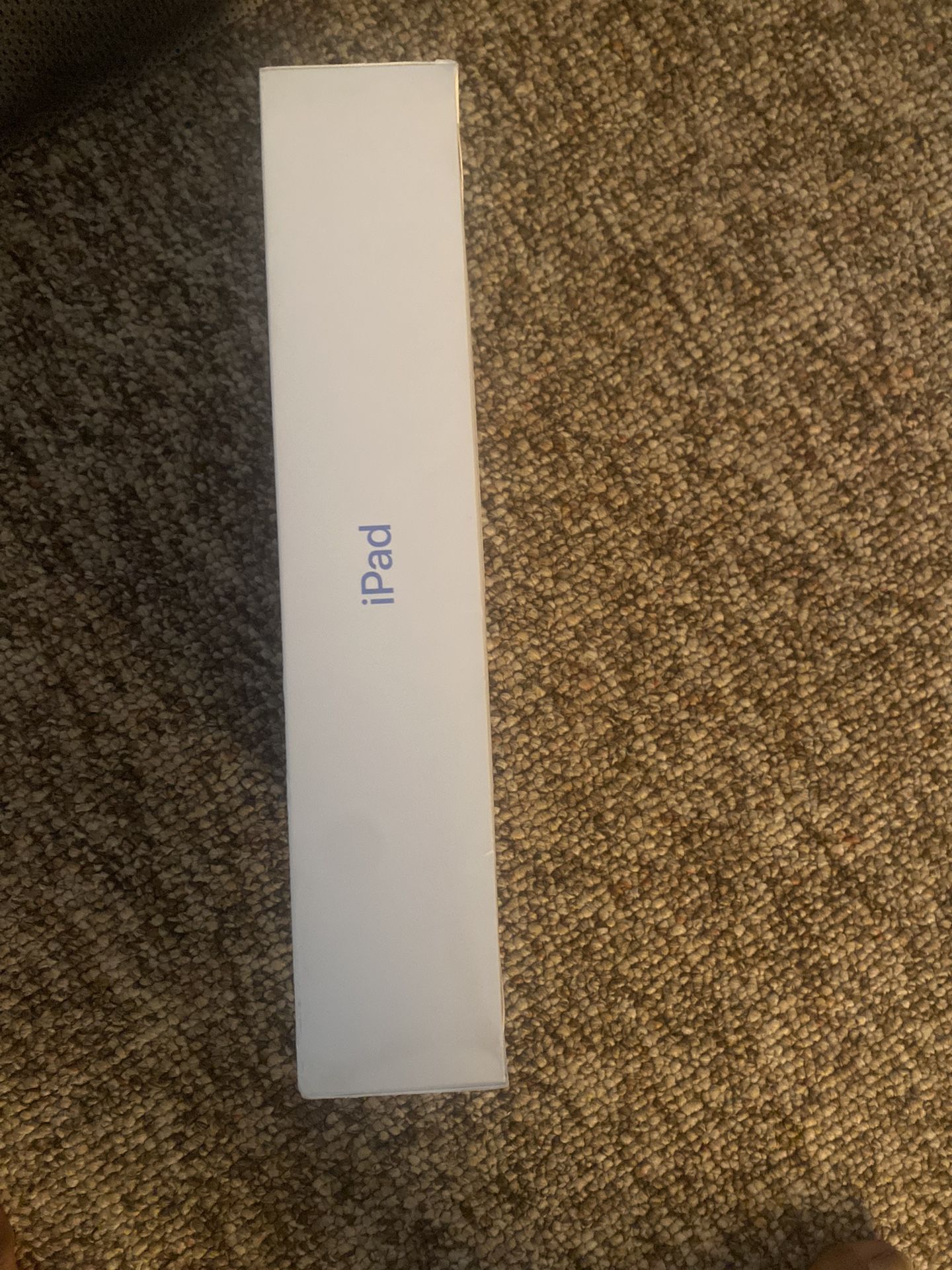 Blue iPad 10gen