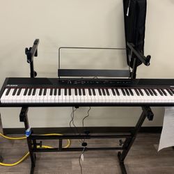 Alesis Recital 88 Key Electric Keyboard
