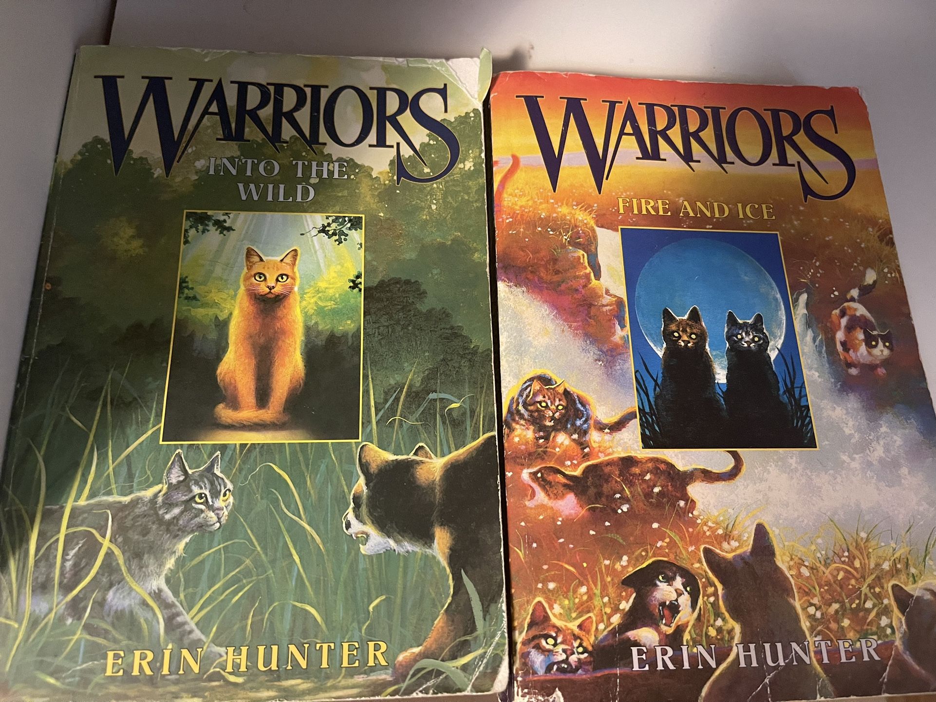 Warrior Cats 5th Series Paperback (Books 1, 2, 4 & 5) for Sale in Brooklyn  Center, MN - OfferUp