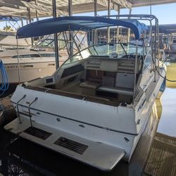1985  Sea Ray 29' w/10' beam