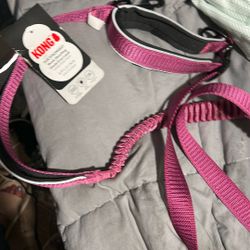 Kong Leash 