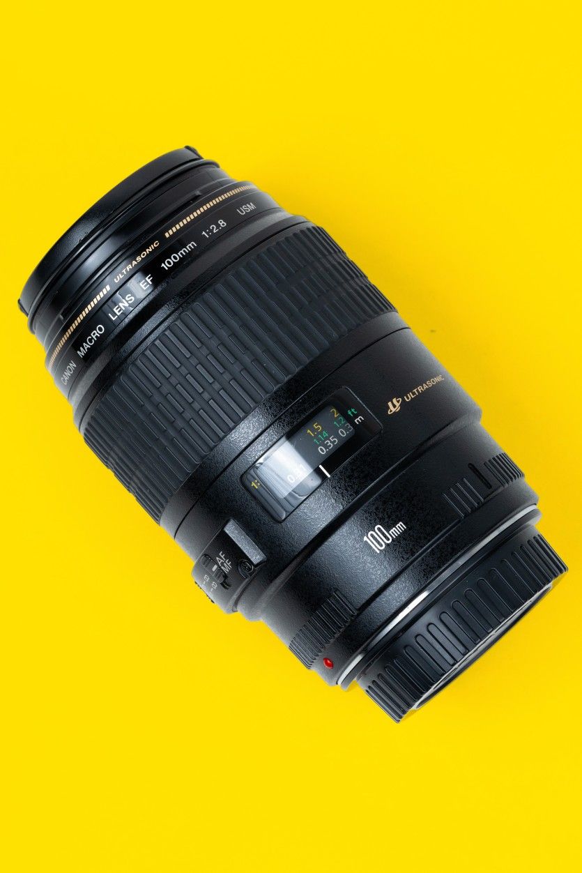 Canon EF 100mm 2.8 MACRO USM - A true 1:1 Macro Lens