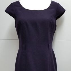 Tahari Purple Dress Size 4