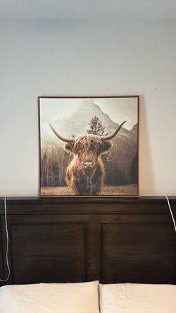 ighland Cow Framed Canvas Wall Decor