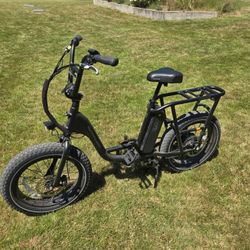 Rad Power E Bike