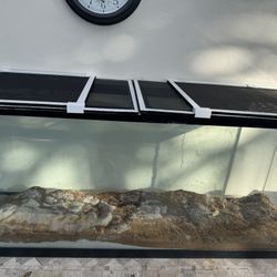 48” Fish Or Reptile Tank