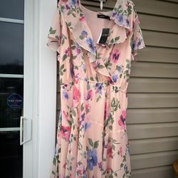 Lovely  pale pink, multi-color, floral Plus-size 2X/ 20W Ralph Lauren Dress. NWT!