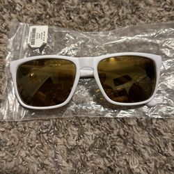 bex sunglasses