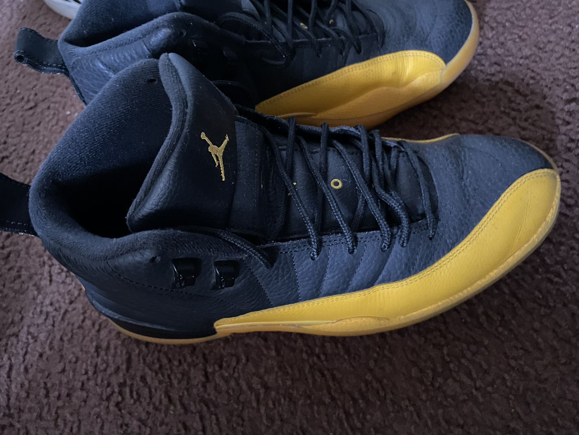 Jordan University 12’s