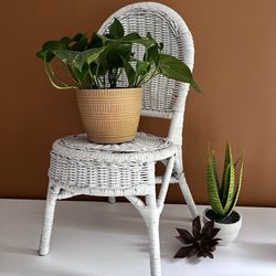 Woven Wicker Childs Chair Childrens Chair Plant Stand Boho Decor
