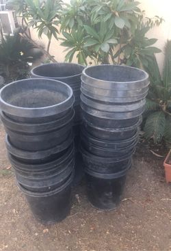15 gallons pots