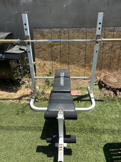 Barbell/bench Press Bench