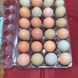 Free Range Chicken Eggs $7.50 Dozen 